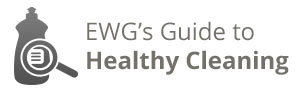 EG's Guide to Healthy Cleaning