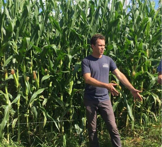 50554441_1140201366156970_858133233085186048_n