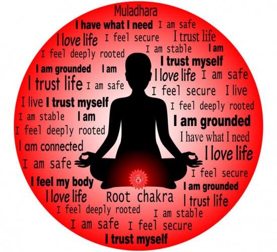 base_bioenergy_field_ base_bioenergy_field_