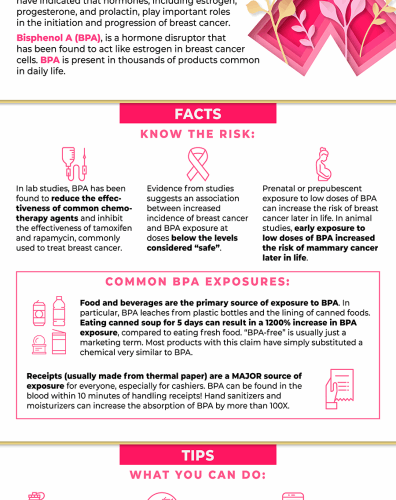 breastcancerenviron-fb-infographic_900px-1 breastcancerenviron-fb-infographic_900px-1