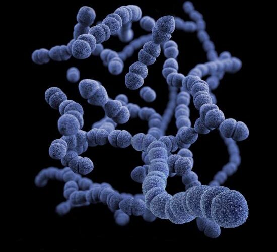 cdc-qeu-qgiojka-unsplash