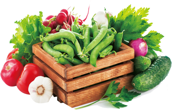 fecd1aec060622e0b08e6c184ab03f93 fecd1aec060622e0b08e6c184ab03f93