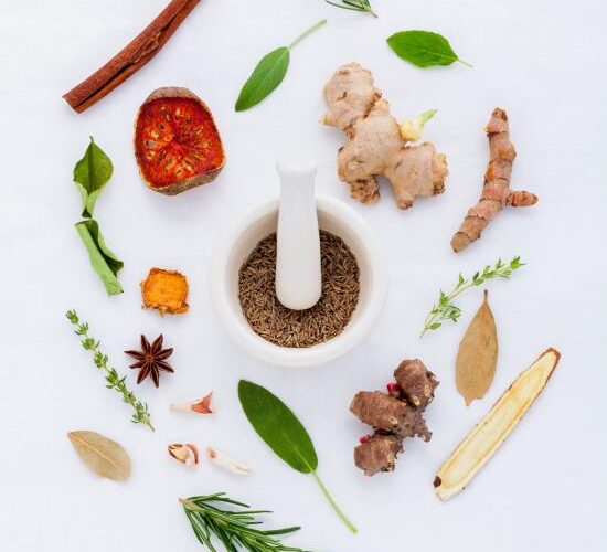 food-on-white-background-256318