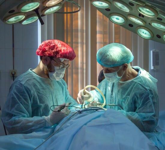 olga-guryanova-tmfeatbss4s-unsplash olga-guryanova-tmfeatbss4s-unsplash