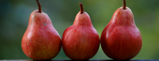 oxmed_home_page_article_-_sept_2017 oxmed_home_page_article_-_sept_2017