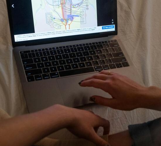 pexels-cottonbro-6473097 pexels-cottonbro-6473097