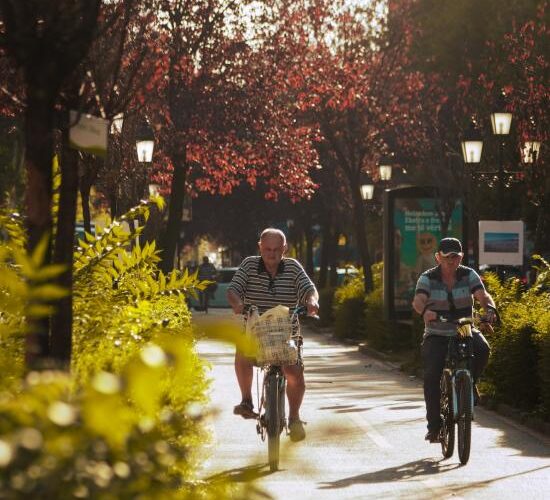 pexels-sabina-kallari-13701407