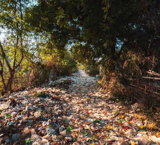 photo-of-plastics-near-trees-2583836
