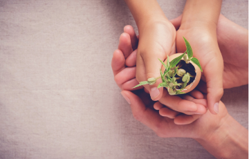 responsibility responsibility