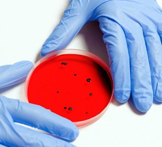 scientist-holding-petri-dish-3786247