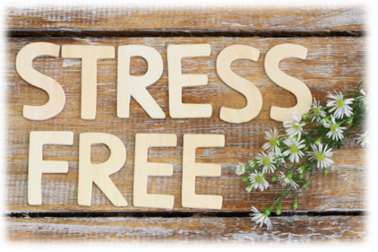 screen_shot_2016-12-20_at_1.01.12_pm screen_shot_2016-12-20_at_1.01.12_pm