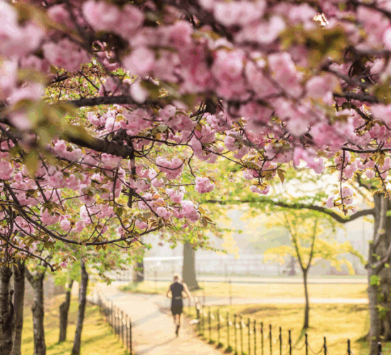 screen_shot_2017-04-03_at_3.49.41_pm