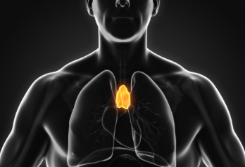 screen_shot_2018-02-06_at_1.30.59_pm screen_shot_2018-02-06_at_1.30.59_pm