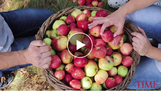 screen_shot_2018-04-11_at_2.19.21_pm