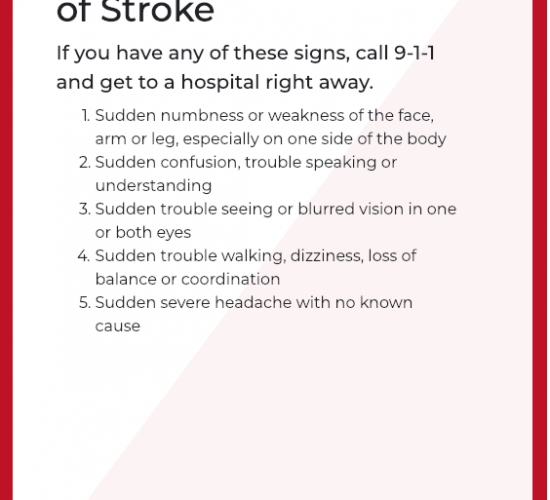 screen_shot_2019-02-05_at_9.49.14_am