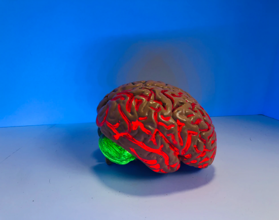 screen_shot_2020-01-22_at_10.54.06_am