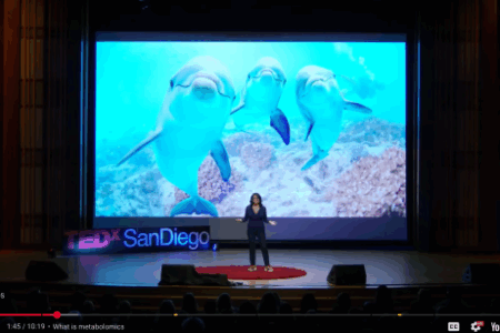 Save the Dolphins. Save the World. - Dr. Stephanie Venn-Watson's Ted Talk